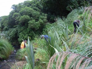 Planting along the Owhiro Stream with FOOS